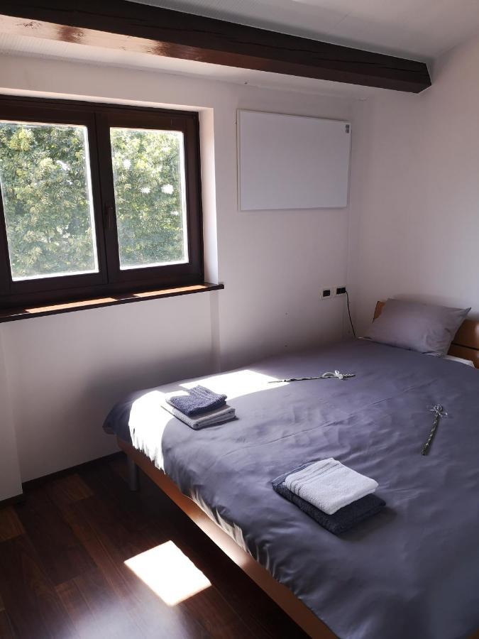 Apartma Rok Plavje Экстерьер фото